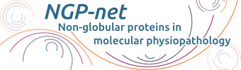 NGP-net