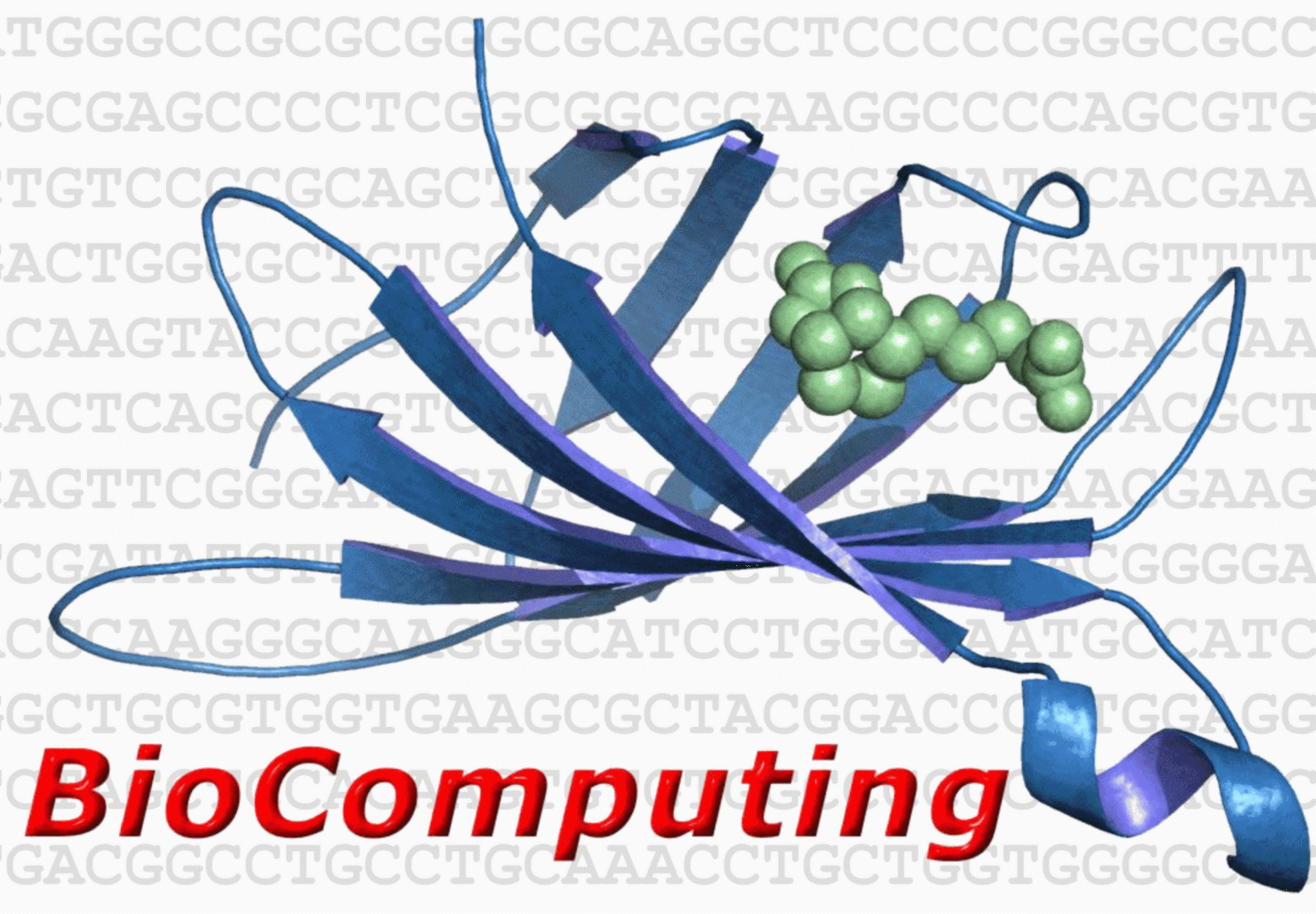 BioComputingUP